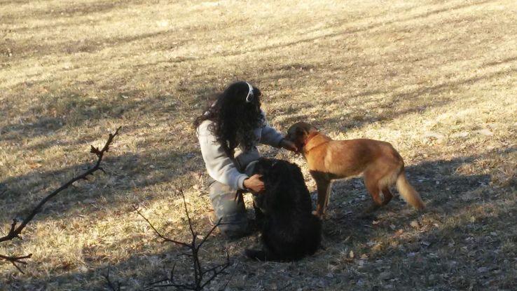 En Benasque Huesca con Laika y Linda, dos perros cariñosas y estraordinarias para los ganaderos, muy inteligentes 