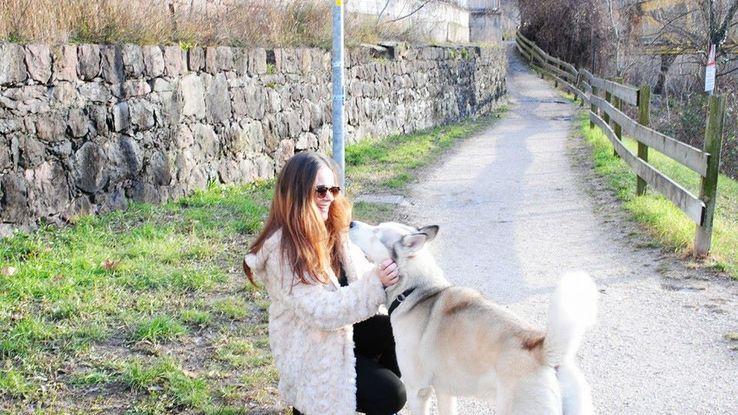 Esta foto se hizo en Italia durante mi estancia como estudiante. Iba paseando con mis amigos y este adorable perro se acercó donde mi en busca de unas cuantas caricias.
