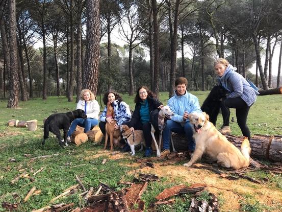 Mi madre con sus amigas y sus perros en El Pardo