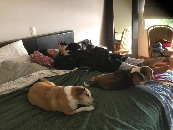 mi madre con todas mis mascotas en un domingo por la mañana.
