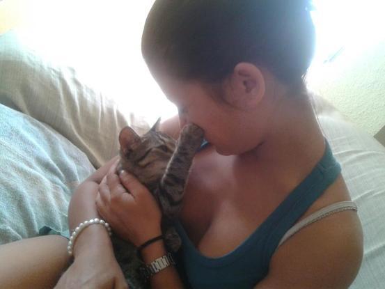 TIGRETON- El gato mas dulce con el que he tratado, le busque hogar y es super feliz!