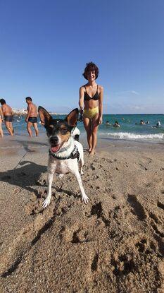 Mi tercer día con Río, fuimos a jugar a la playa de perros!
