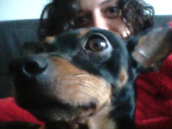 Chipi es un amor, le encanta tumbarse encima de mi en el sofá.