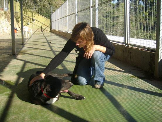 Un día en la perrera de Barcelona (voluntaria)