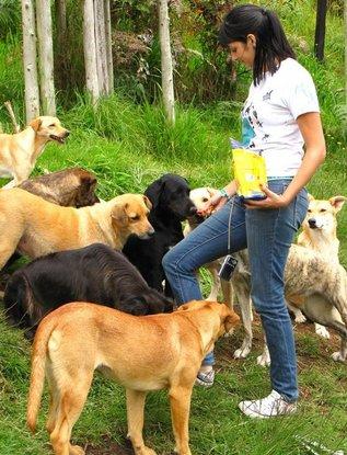 Jornada de amor y compañía con los perritos de la fundación en Colombia