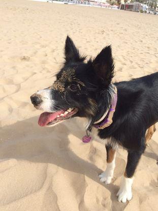 Doris en la playa 