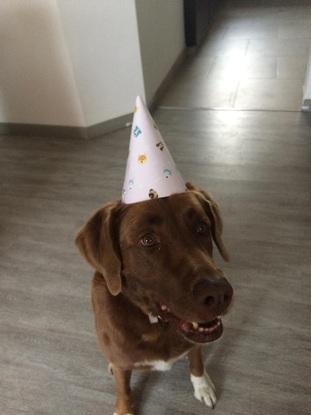 Celebrando su cumpleaños
