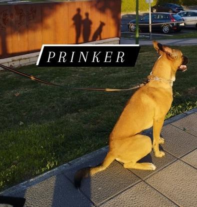 Prinker
