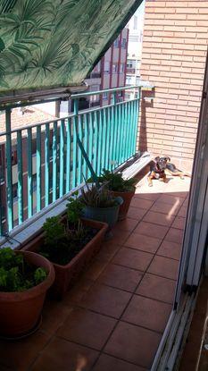 Le encanta tomar el sol en la terraza