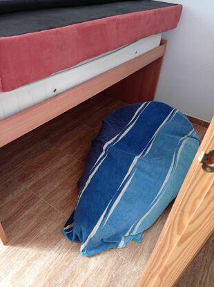 Cama/Puff con manta dónde dormirá