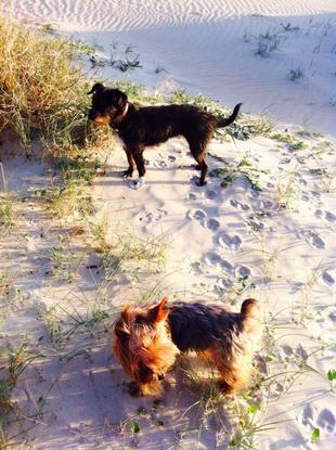 Zoe estuvo a nuestro cuidado 😉