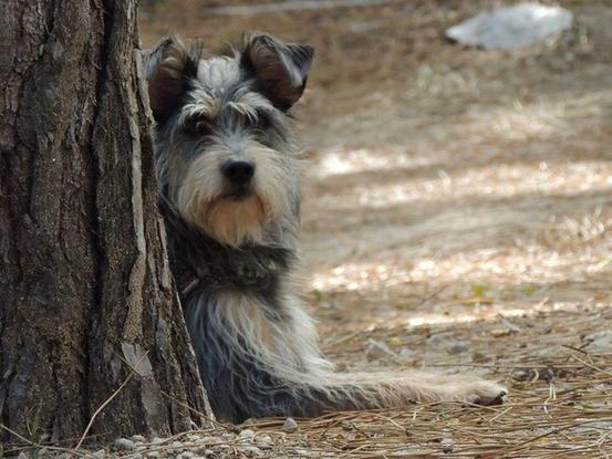 Cebolla estuvo a nuestro cuidado! ❤️