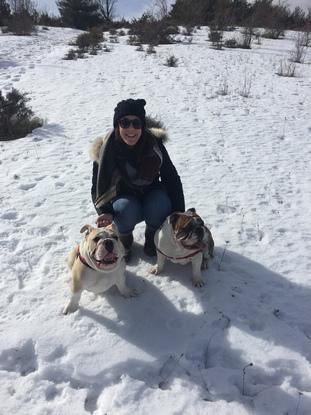 En la nieve con Ares, bulldog ingles de 8 meses