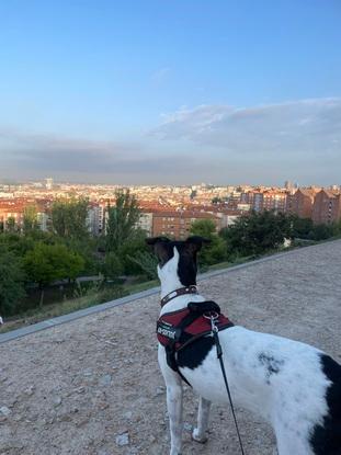 Una vista de Madrid con Natsu 🤍