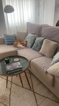Puede descansar en el sofá siempre que quiera