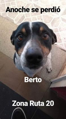 Berto (el escapista)