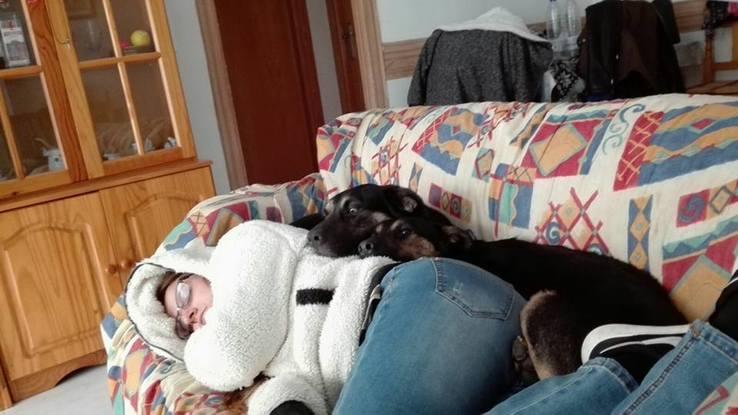 Mis nenes.
Estos son unos perritos que me encontré en la carretera y les di hogar, cuidados y amor hasta que les encontré una buena familia.