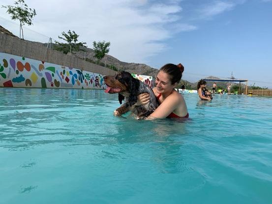 Johan en su lugar favorito, una piscina para perros!