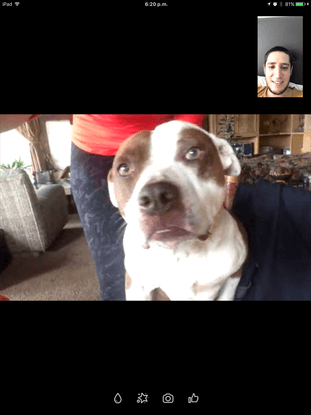 Hablando por Skype con Jacko