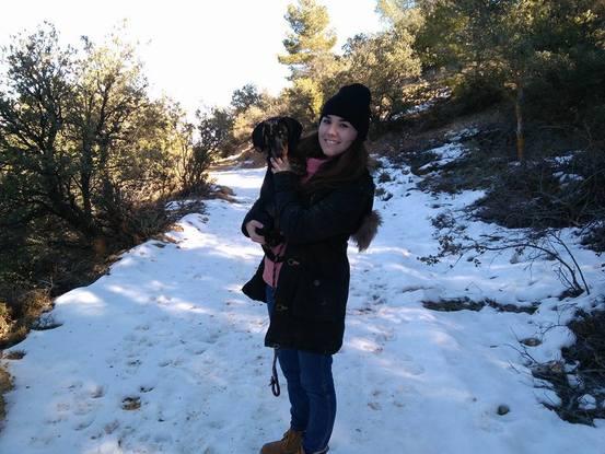 El día 1 de Enero, aprovechamos para llevarnos a los perritos de residencia (previa confirmación de sus propietarios) a la nieve!