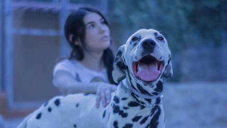 Kronos pasó una semana en casa antes de viajar a su nuevo hogar!