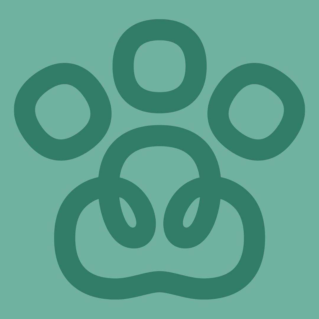 selly avatar