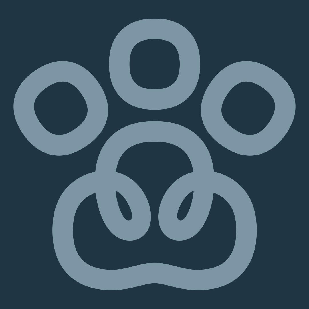 KIRA avatar